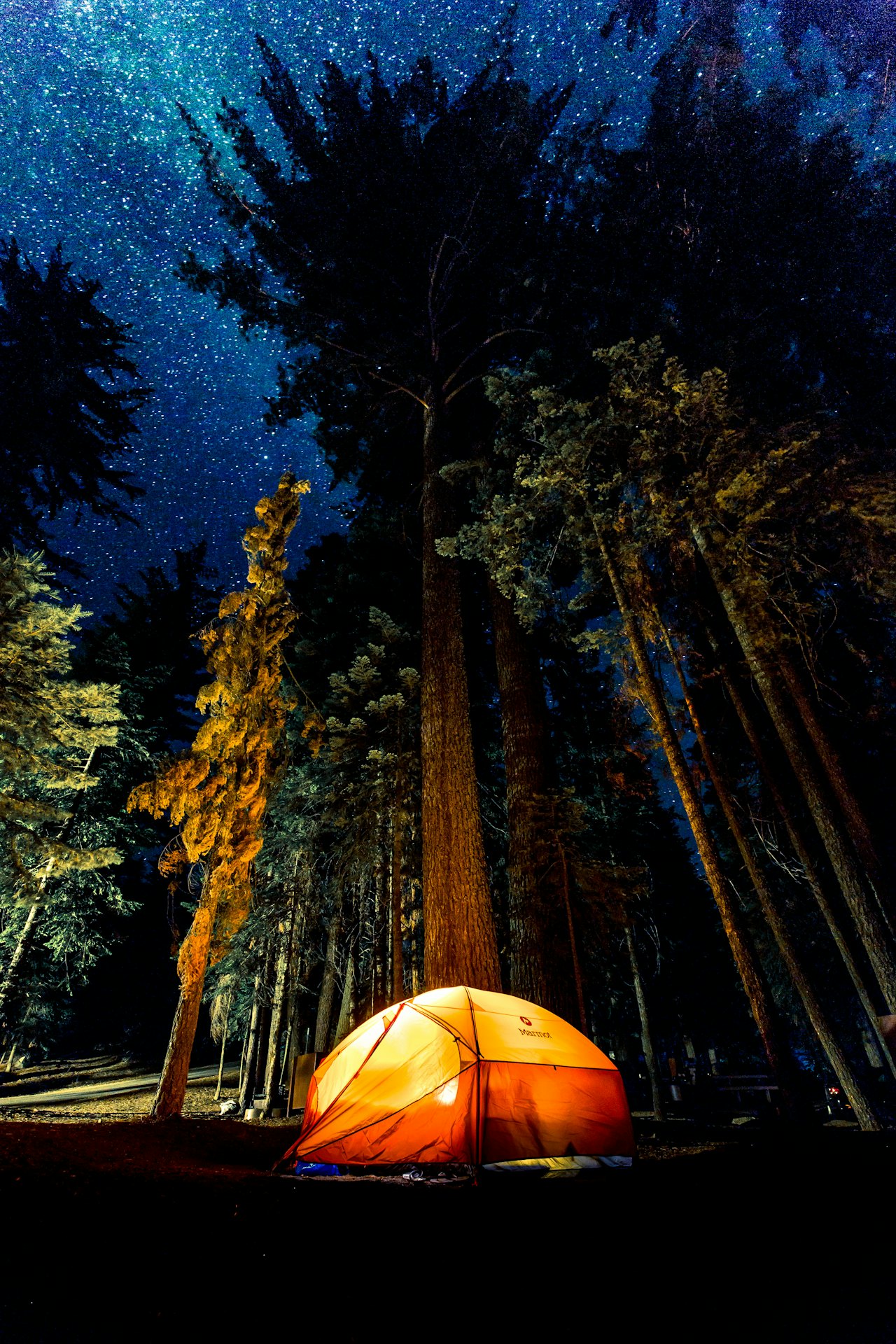 Camping & Stargazing